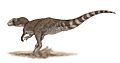 Chuandongocoelurus life restoration