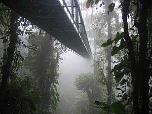 Costa rica santa elena skywalk