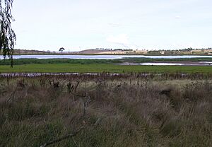 Dangar Lagoon