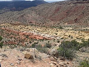 Entrada Sandstone Red Wash