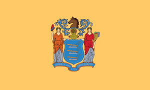 Flag of New Jersey.svg