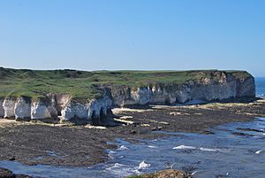 FlamboroughHeadCliffs