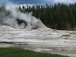 Giant Geyser