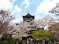 Inuyama Castle2