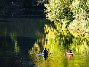 Kayakers TualatinRiver