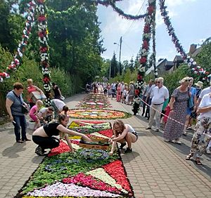 Kwiatowe dywany Spycimierz Polska OK