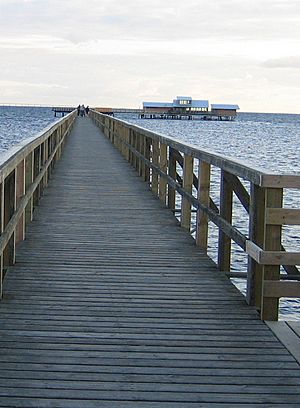 Bjärred long bridge