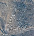 Líneas de Nazca, Nazca, Perú, 2015-07-29, DD 62