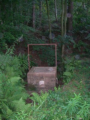 Miss Grace's Lane cave entrance