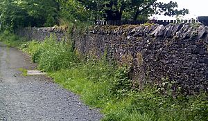 Morishill Boundary wall.jpg