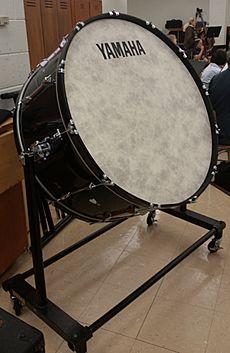 Mounted concert bass drum