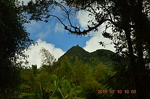 Mt Britton in El Yunque