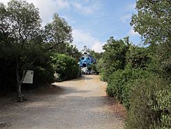 Niki de saint-phalle, giardino dei tarocchi, ingresso 02