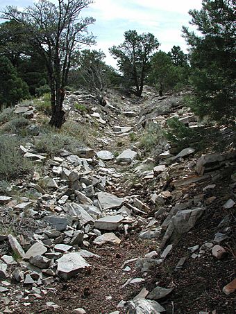 Oseola Ditch NV NPS.jpg