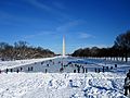 People on Ice Over Lincoln Memorial Reflecting Pool 2010.02.07