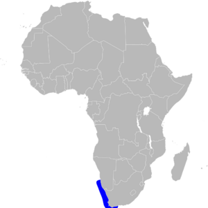 Phalacrocorax neglectus map.svg