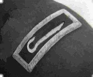 Shepherd's Crook Chaplain Insignia