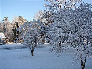 Snow in Rock Hill