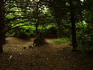 Stambourne Woodland Walk, Crystal Palace