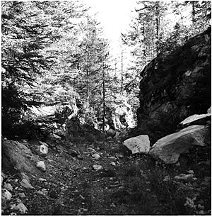 Stevens Pass - Switchback Cut