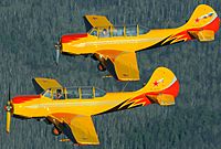 Two Yak-52 in flight. (4470103534)