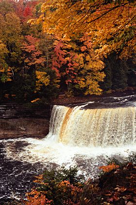 Upper Tahquamenon Falls (1).jpg