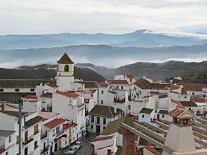 Vista de Canillas de Aceituno.jpg