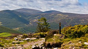 Wicklow Way Marker Curtlestown