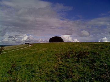 Wingreen Hill Wiltshire UK.jpg