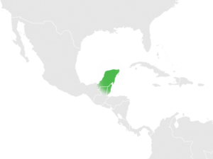 Yucatan Peninsula