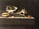 Adriaen Coorte - Shells - 1698.jpg