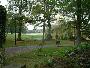 Agates Meadow - geograph.org.uk - 64515