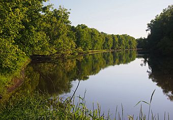 Andy Gibson shipwreck site.jpg