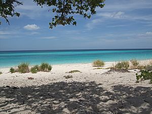 Bahia de las Aguilas beach