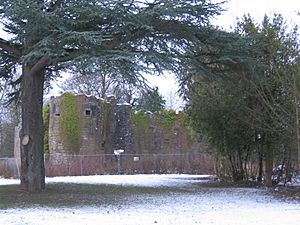 BallumbieCastle