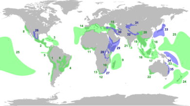 Biodiversity Hotspots