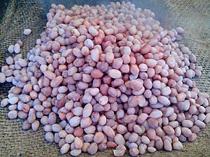 Boiled Groundnut