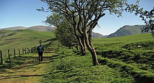 Bridle Path to Enterkin Pass