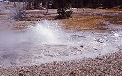 Bulger Geyser-Keller1964