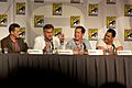 Burn Notice Panel 2 2010 CC