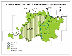 Caribbean National Forest Map