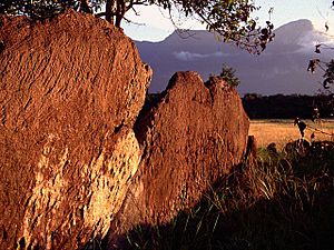 Cerro Duida