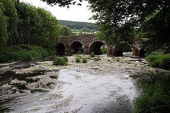 Derry River Clonegal Bridge.jpg