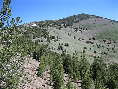 Eagle Peak CA