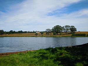 Felbrigg Pond 29 July 2014