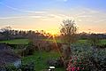 Fields behind Shenfield