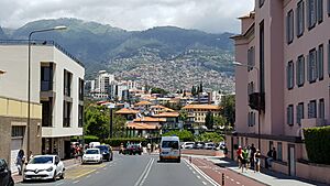 Funchal mountains view