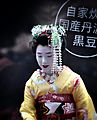 Geisha - Flickr - xiffy