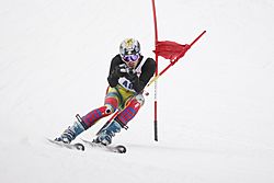 Giant Slalom Racer