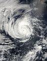 Hurricane Alma 2002